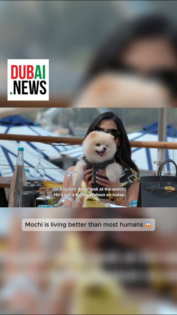 Imagine being out-flexed by a dog.
